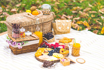 Colourful summer picnic outdoors with delicious food and juice on a meadow, Selective focus.