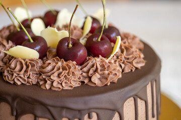Vegan gluten-free cherry cake with chocolate glaze