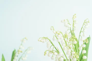 Fotobehang ブルー背景のスズランの花 © kasa