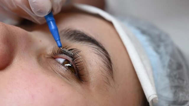 Master combing woman's eyelashes after lamination. 