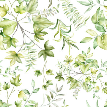 beautiful greenery leaves  seamless pattern design