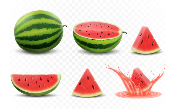 Set of fresh whole, half, cut slice and piece of watermelon isolated on white background. Vegan food vector icons in a trendy realistic 3d style. Healthy food concept.