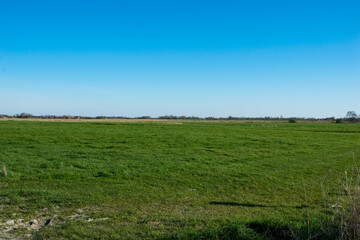 field and blue sky