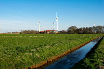 dutch windmill in spring