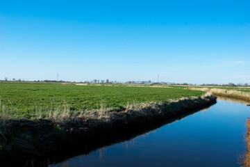 landscape with a lake