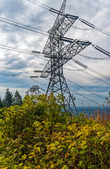 Obraz premium Autumn foliage surrounds high-tension transmission towers in Tig