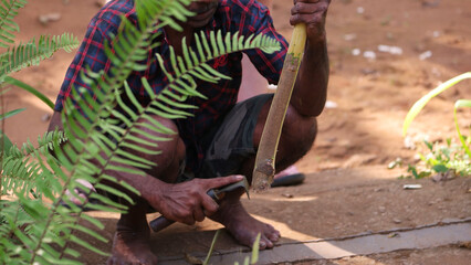 Men preparing cinnamon sticks in Sri Lanka