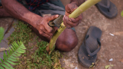 Men preparing cinnamon sticks in Sri Lanka