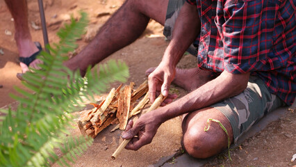Men preparing cinnamon sticks in Sri Lanka