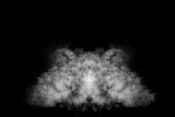 Vapor cloud in the shape of an animal's head isolated on a black background. Fog fantasy. Abstract background fog or smog, design element, layout for collages.
