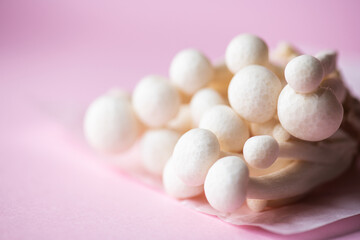 Fototapeta na wymiar Fresh white shimeji mushrooms. Top view and copy space. Pink background.