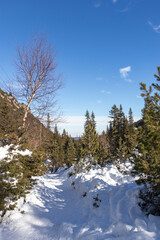 Fototapeta na wymiar Winter landscape of Rila Mountain near Malyovitsa peak, Bulgaria