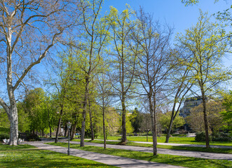 Spring in the spa garden of Baden at the Lichtentaler Allee. Baden Wuerttemberg, Germany, Europe