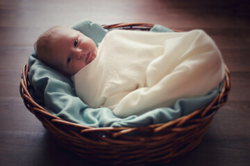 baby photo shoot. the child sleeps in a basket.