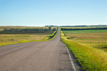 Fototapeta na wymiar Country road in the morning by farmland during summer in South Dakota
