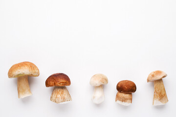 Bunch of fresh forest porcini mushrooms on a white surface close up, soft focus, top view, copy space	 - obrazy, fototapety, plakaty