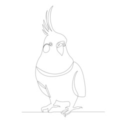 parrot drawing in one continuous line, sketch, vector