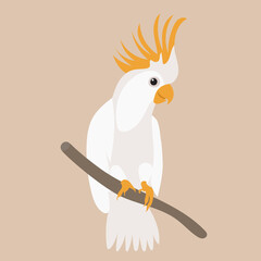 parrot on a branch flat design, isolated, vector © zolotons