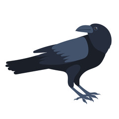 Raven flat design, isolated, vector