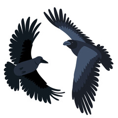 crows flying flat design, isolated, vector