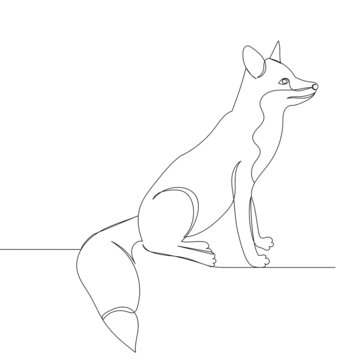 fox drawing by one continuous line, sketch, vector