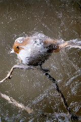 Fototapety na wymiar - Fototapeta24.pl