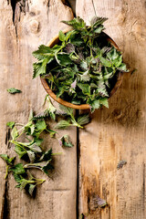 Heap of young nettle leaves