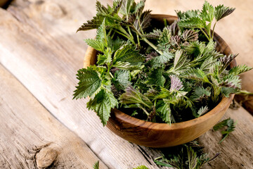 Heap of young nettle leaves - 499868856