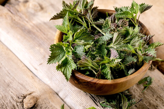 Heap of young nettle leaves