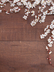 Apricot blossoms on branches on wooden background. Top view