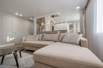 Fototapeta na wymiar interior of expensive living room in studio apartments or flat with sofa