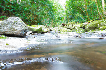Fluss in mitten Nationalpark Australiens