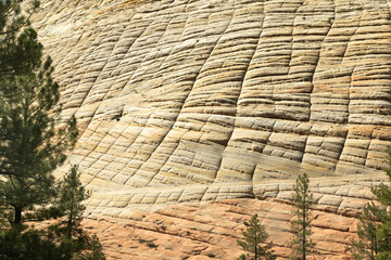 Zion National Park, Utah