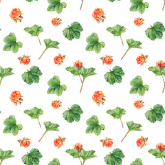 Seamless cloudberry pattern on a white background. Watercolor hand drawn botanical illustration. Ideal for wrapping paper, fabric and textile design.