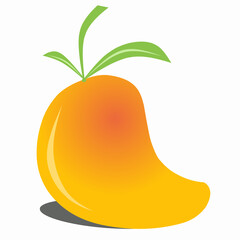 Mango fruit illustration vector design,  juicy and fresh