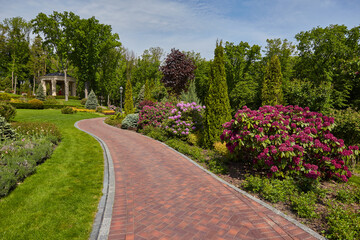 Jogging track in garden of public park among greenery trees, flower shrub and bush, black asfalt concrete walkway beside green grass lawn