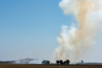 Burning of sugar cane fields