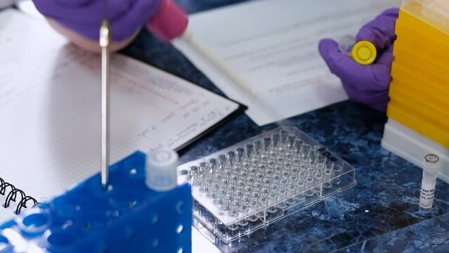 Assistant puts liquid samples into deep well plate with pipette for examination. Scientific research and development in biochemical laboratory closeup