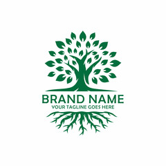 Oak tree logo design vector illustration