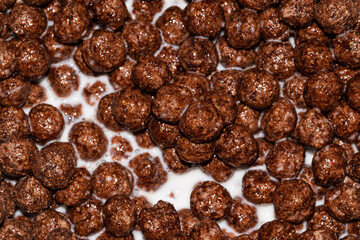 High fiber chocolate cornflakes in milk for breakfast.