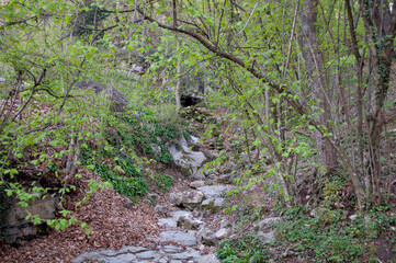 The Cave in the Woods. Valle Imagna, Italy