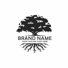 Oak tree logo design vector illustration