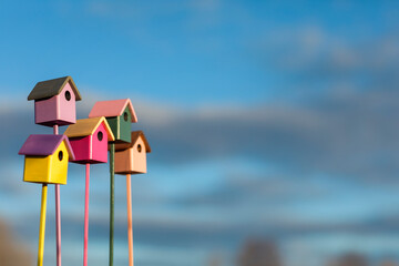 welcome to the spring garden birds to a group of colorful wooden birdhouses on a blue sky background