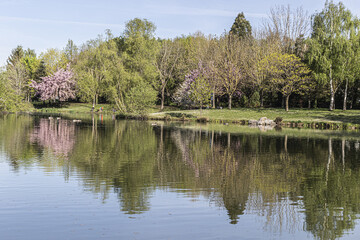 Fototapeta na wymiar spring in the park