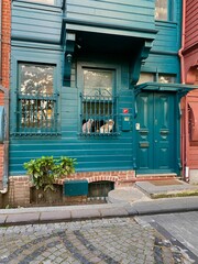 old house in the village  and cats
