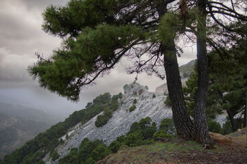 andalusia, spain, ronda, souvenirs, colorful, traditional, beautiful, ancient, europe, design, travel, decoration, tourism, art, culture
View of the Sierra Las Nieves near Ronda, Andalusia, Spain

