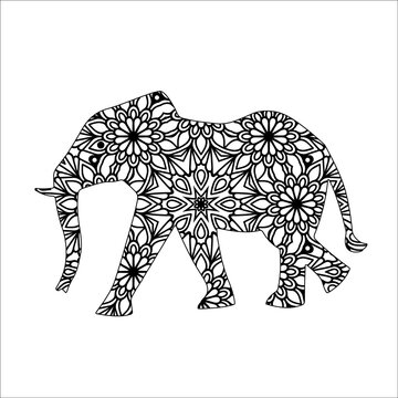 Elephant mandala ornament with colors samples vector image