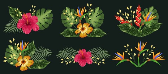 Set composition with tropical flowers hibiscus, heliconia and strelitzia, leaves palm and monstera. Vector on a black background