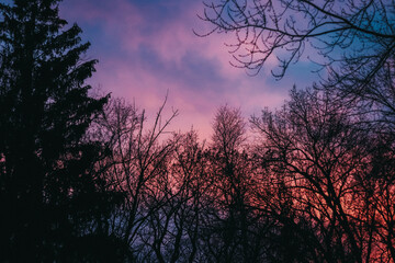 Spring evening sunset