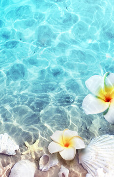 Starfish, seashell and flower on the summer beach in sea water. Summer background.